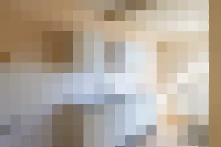Schorpioen 104 Hoogezand thumbnail 9