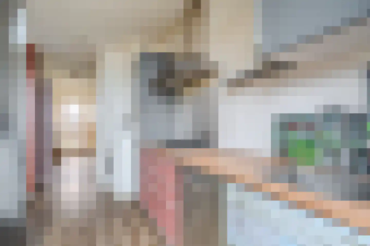 Schorpioen 114 Hoogezand thumbnail 11