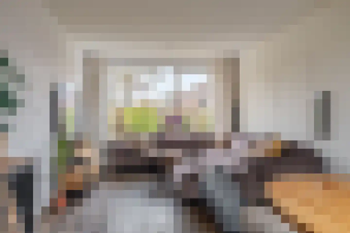 Schorpioen 114 Hoogezand thumbnail 14