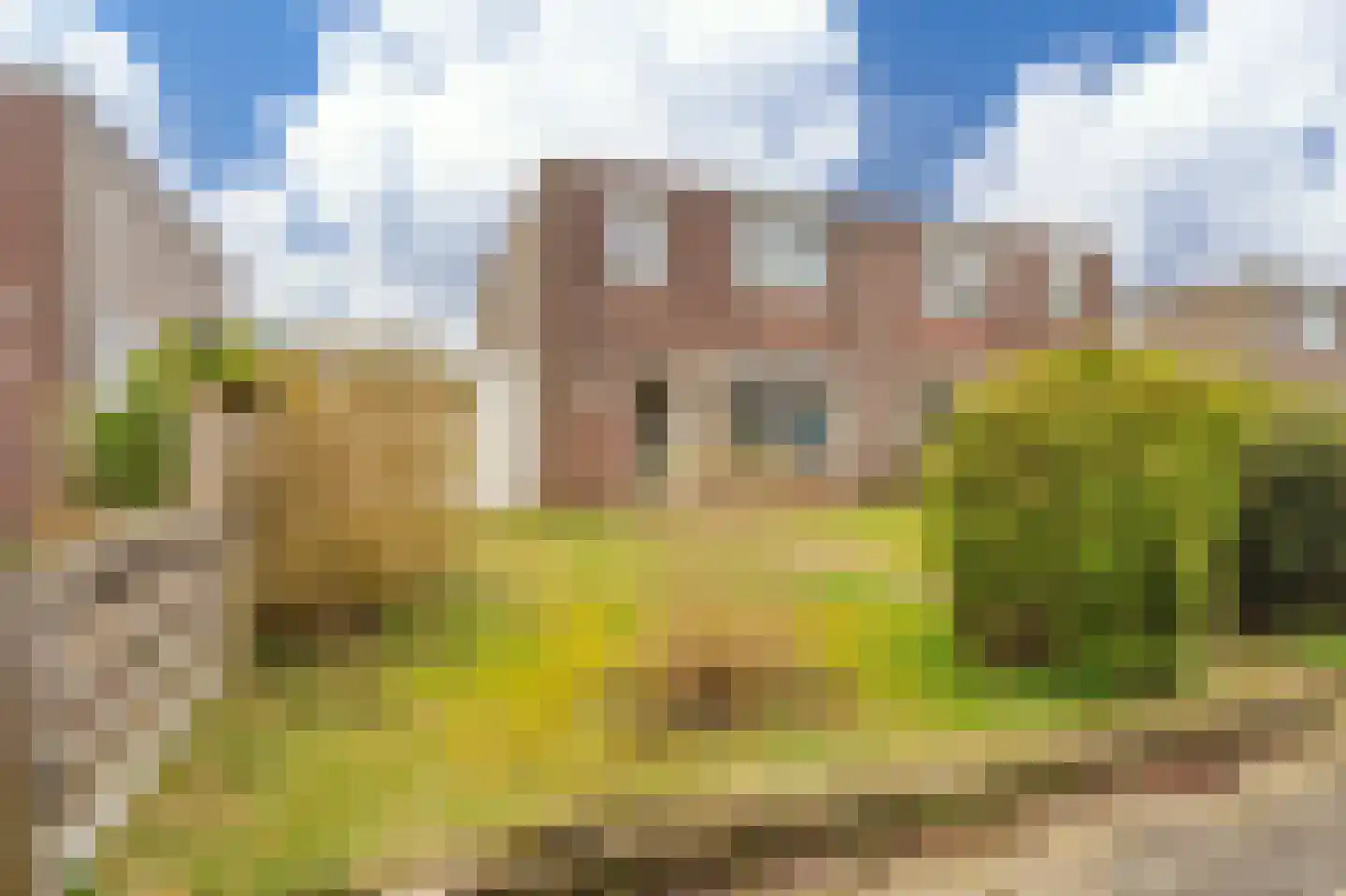 Schorpioen 114 Hoogezand thumbnail 25
