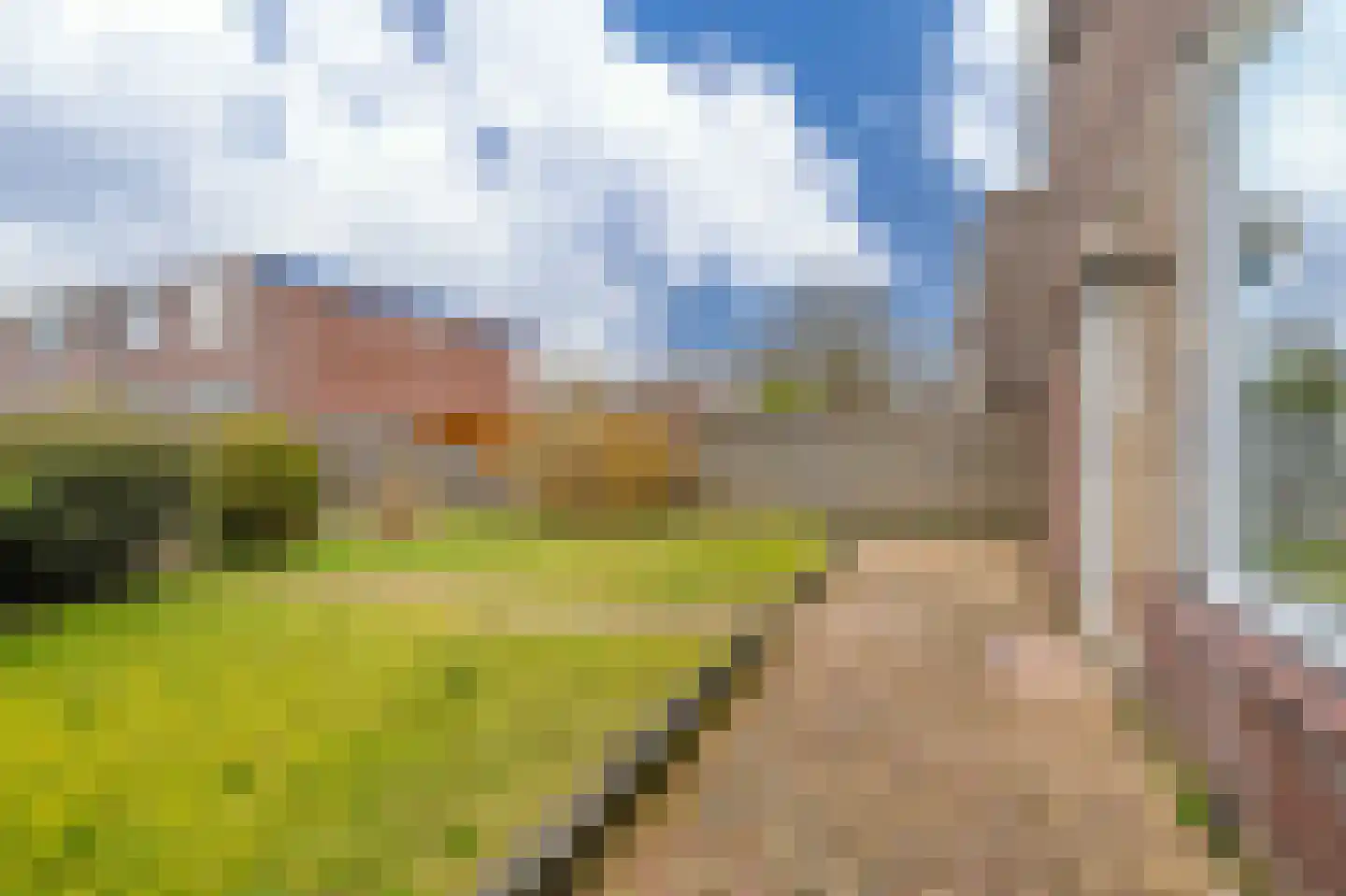 Schorpioen 114 Hoogezand thumbnail 26