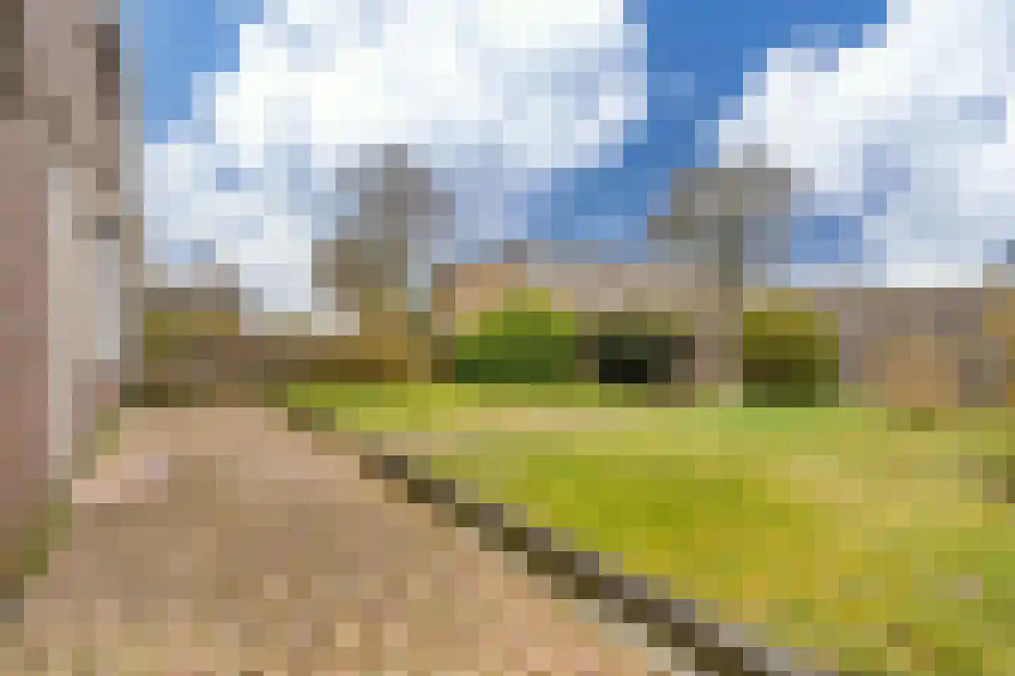 Schorpioen 114 Hoogezand thumbnail 4