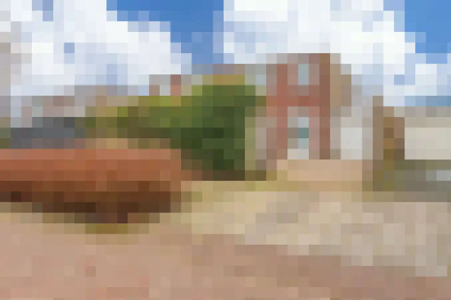 Schorpioen 114 Hoogezand thumbnail 8