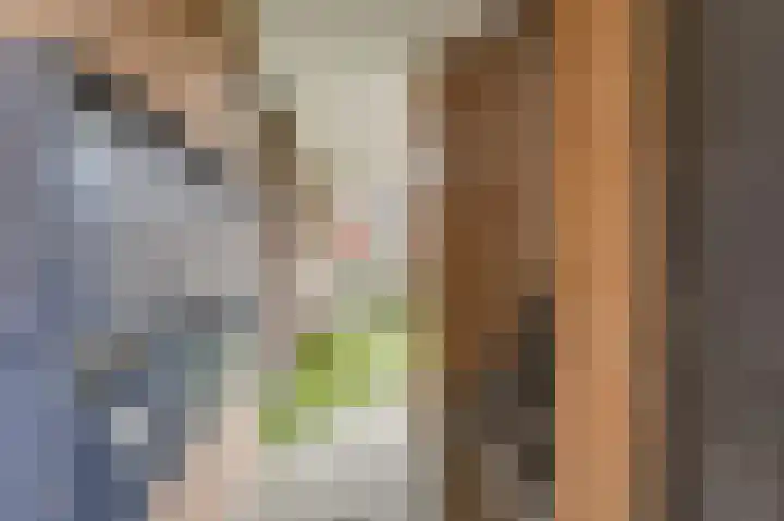 Schorpioen 13 Katwijk thumbnail 17