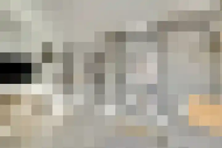 Schorpioen 15 Katwijk thumbnail 13