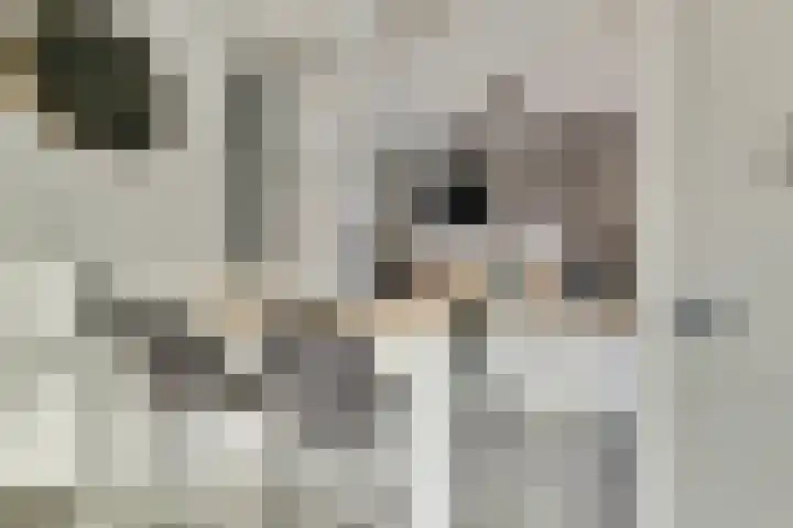 Schorpioen 15 Katwijk thumbnail 15