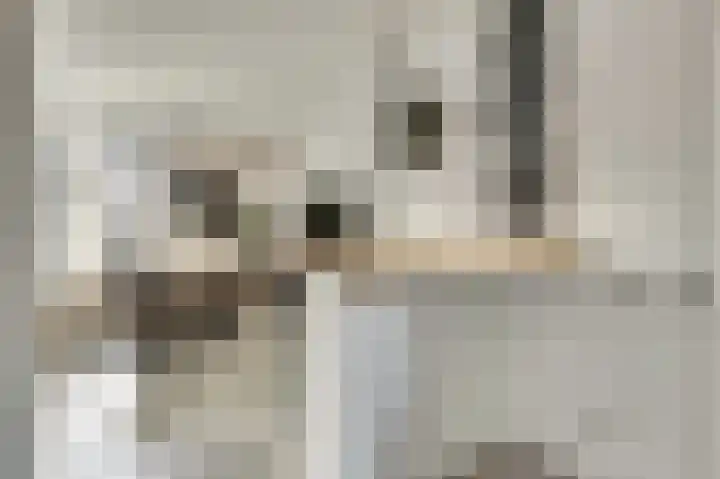 Schorpioen 15 Katwijk thumbnail 18