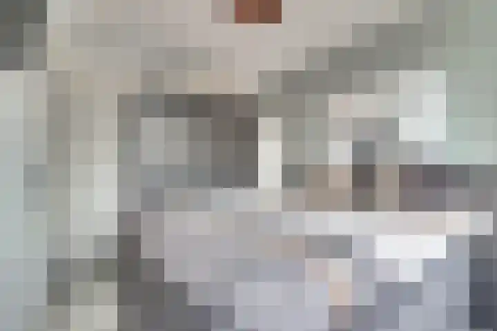 Schorpioen 15 Katwijk thumbnail 23
