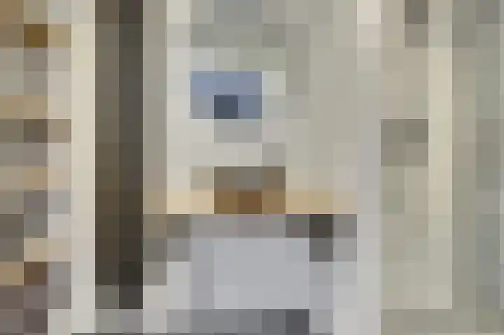 Schorpioen 15 Katwijk thumbnail 5