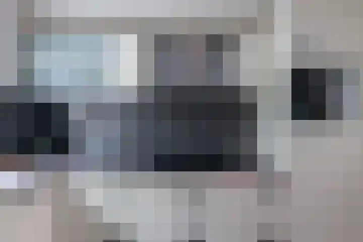 Schorpioen 4 Hellevoetsluis thumbnail 11