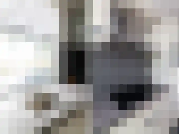 Schorpioen 4 Hellevoetsluis thumbnail 12