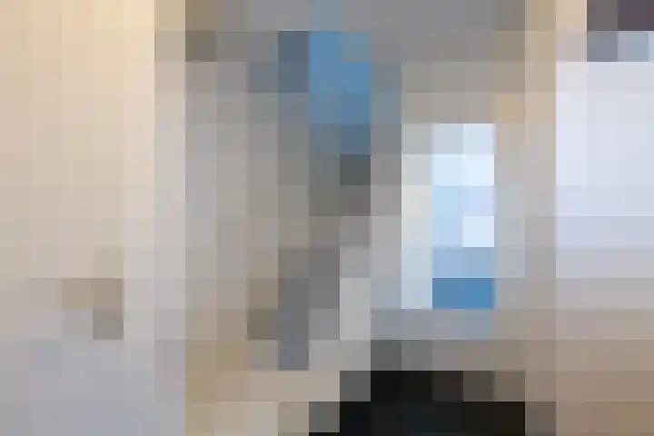 Schorpioen 4 Hellevoetsluis thumbnail 13