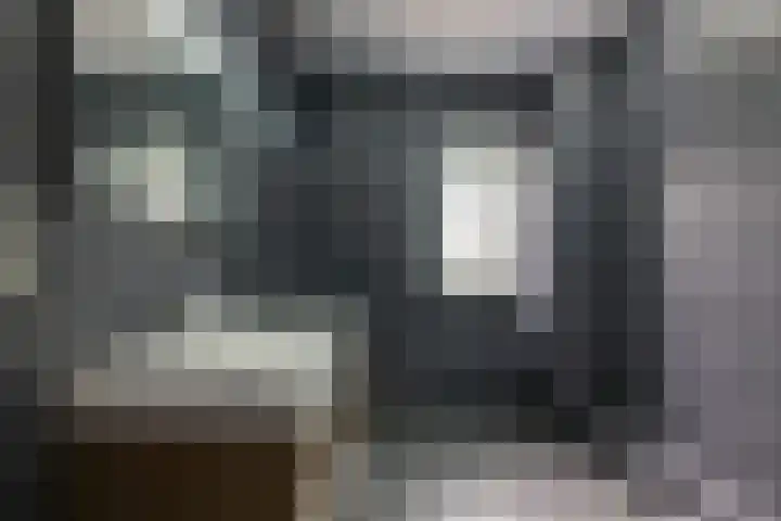 Schorpioen 4 Hellevoetsluis thumbnail 16