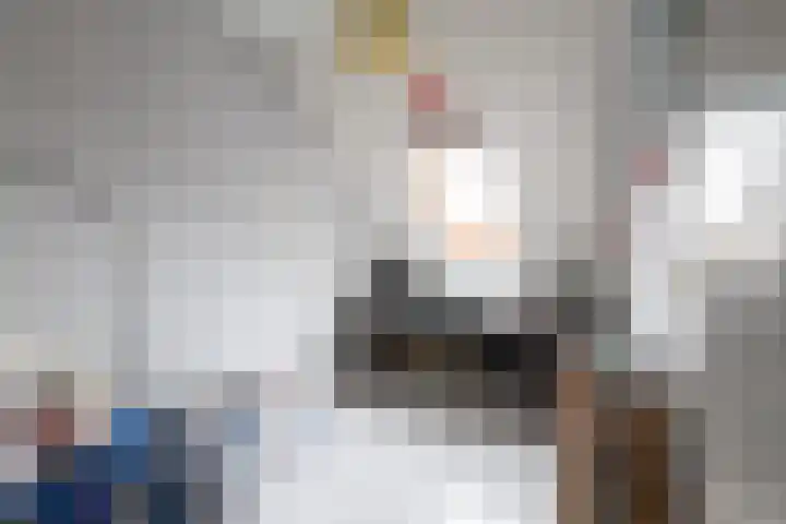 Schorpioen 4 Hellevoetsluis thumbnail 24
