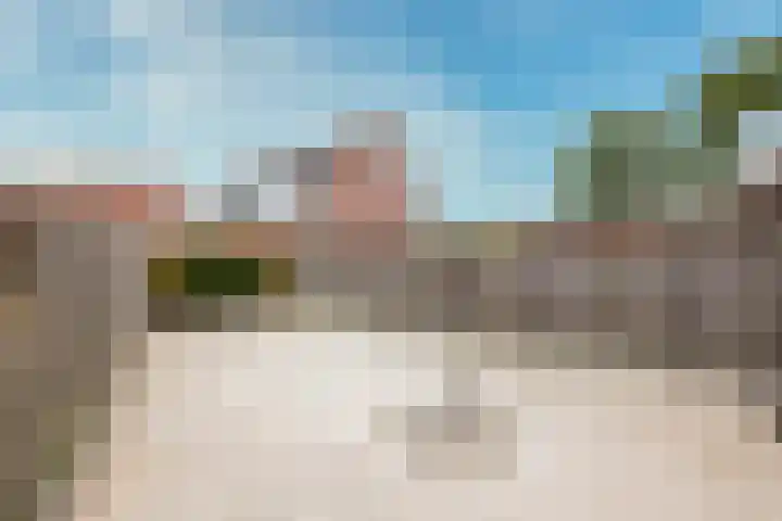 Schorpioen 4 Hellevoetsluis thumbnail 31