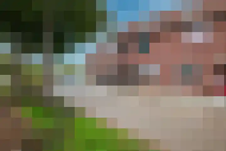 Schorpioen 4 Hellevoetsluis thumbnail 32