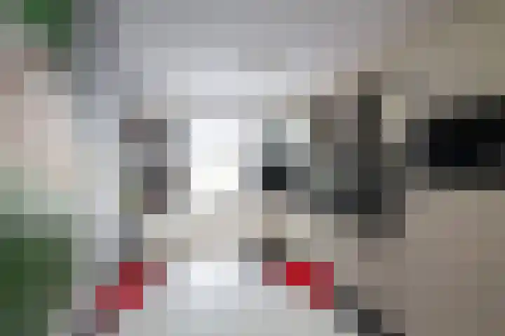 Schorpioen 4 Hellevoetsluis thumbnail 4