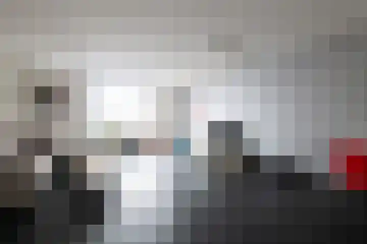 Schorpioen 4 Hellevoetsluis thumbnail 5