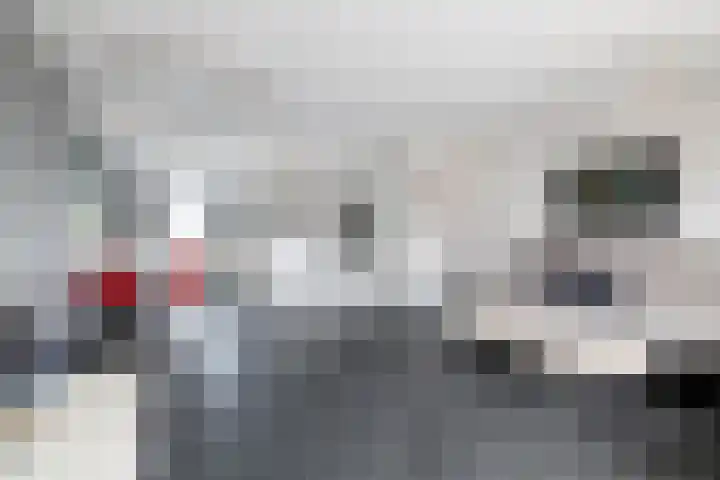 Schorpioen 4 Hellevoetsluis thumbnail 8