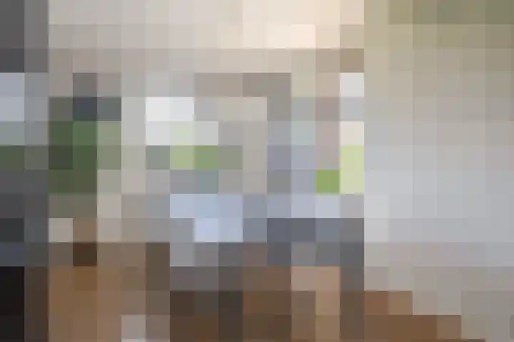 Schorpioen 4 Lemmer thumbnail 11