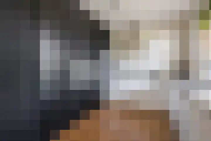 Schorpioen 4 Lemmer thumbnail 13