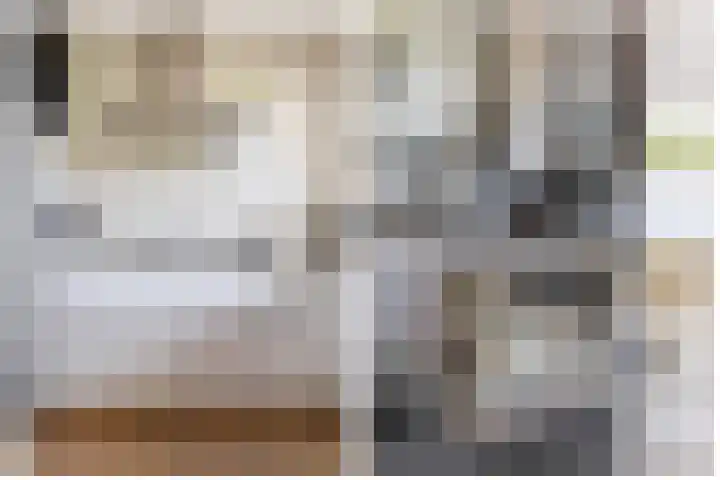 Schorpioen 4 Lemmer thumbnail 15