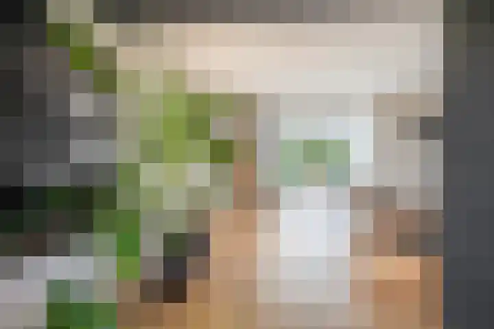 Schorpioen 4 Lemmer thumbnail 16