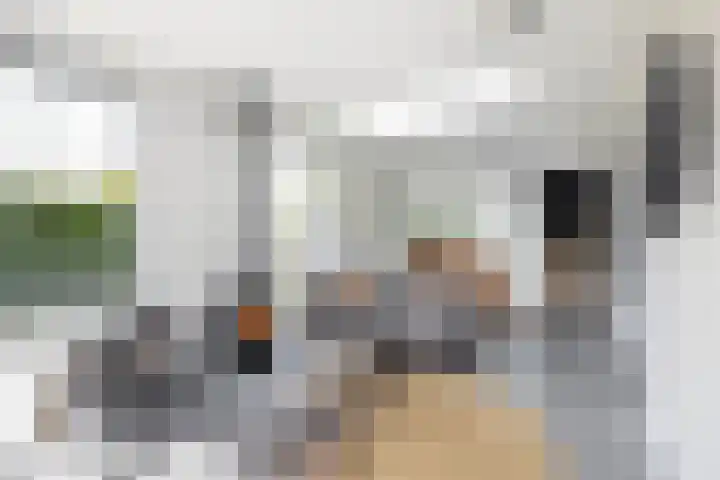 Schorpioen 4 Lemmer thumbnail 22