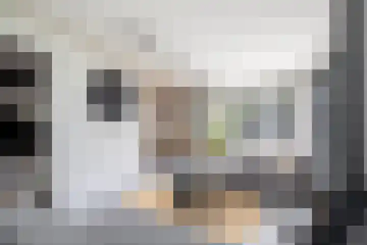 Schorpioen 4 Lemmer thumbnail 24