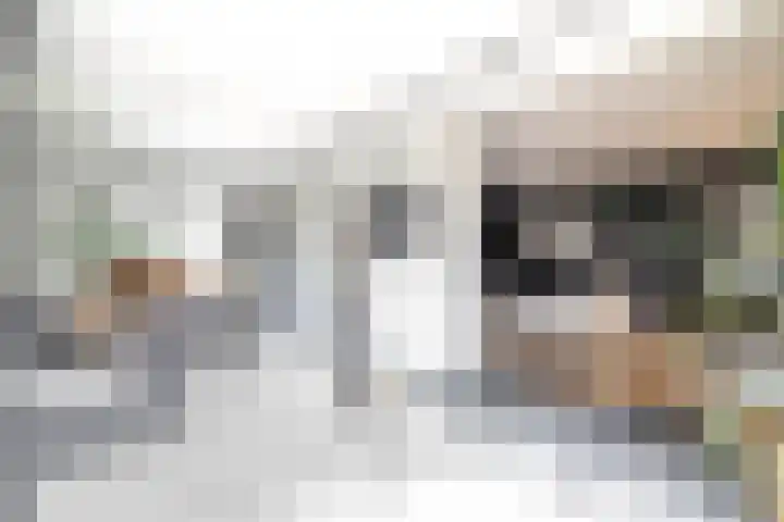 Schorpioen 4 Lemmer thumbnail 25