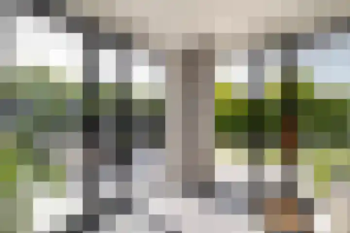 Schorpioen 4 Lemmer thumbnail 26