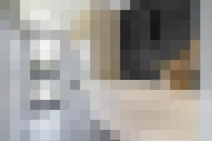 Schorpioen 4 Lemmer thumbnail 27