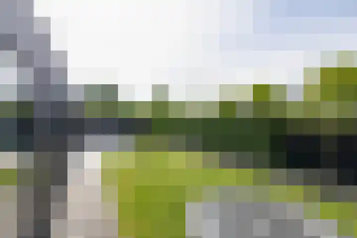 Schorpioen 4 Lemmer thumbnail 30