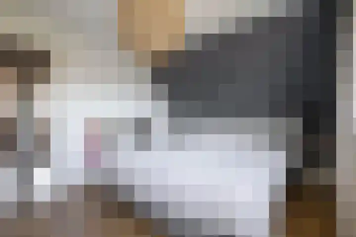 Schorpioen 4 Lemmer thumbnail 33