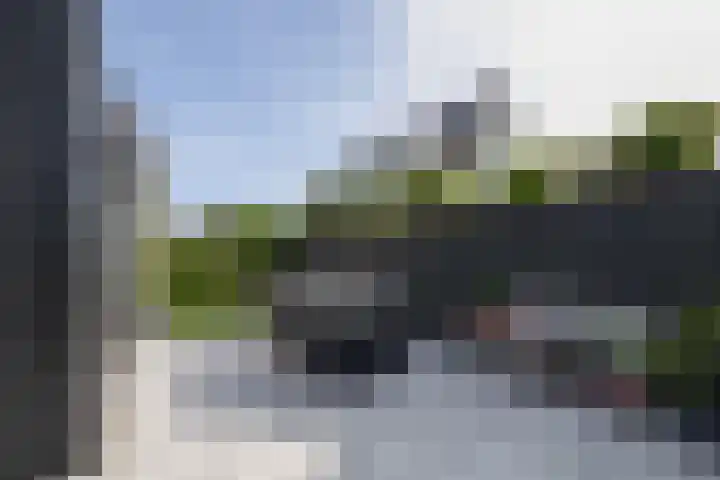 Schorpioen 4 Lemmer thumbnail 42