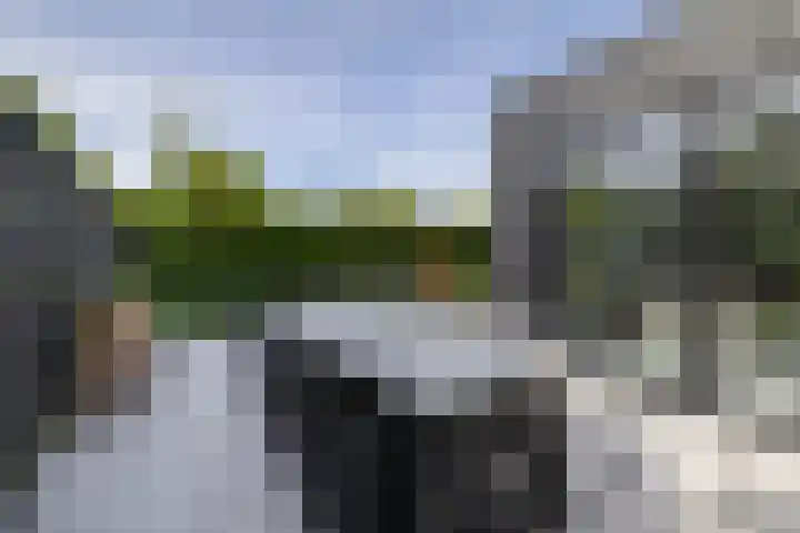 Schorpioen 4 Lemmer thumbnail 43