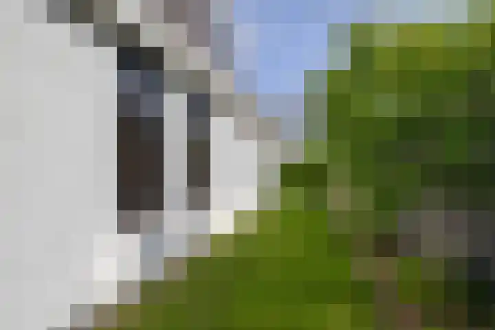 Schorpioen 4 Lemmer thumbnail 44