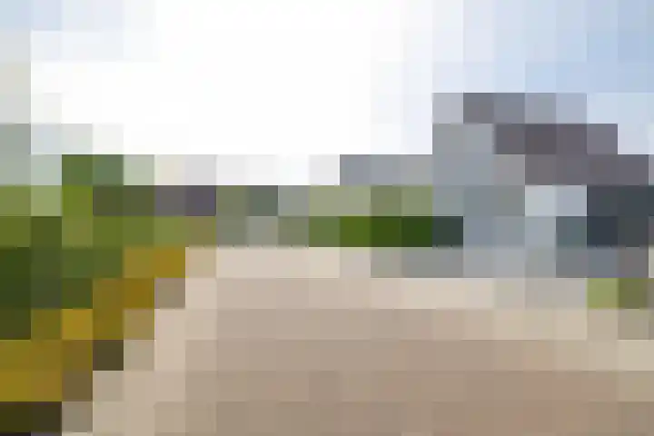 Schorpioen 4 Lemmer thumbnail 49