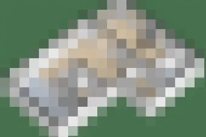 Schorpioen 4 Lemmer thumbnail 51