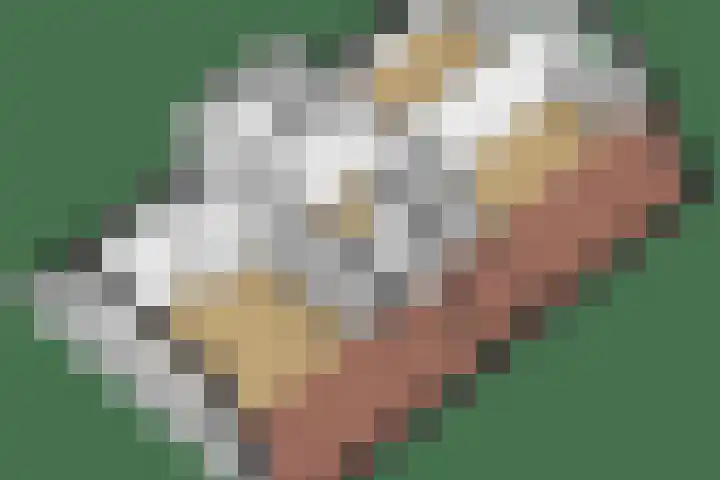 Schorpioen 4 Lemmer thumbnail 53