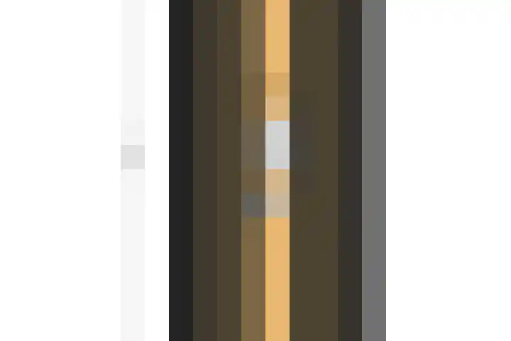 Schorpioen 4 Lemmer thumbnail 54