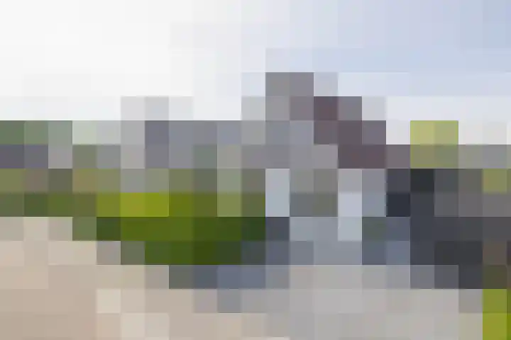 Schorpioen 4 Lemmer thumbnail 58