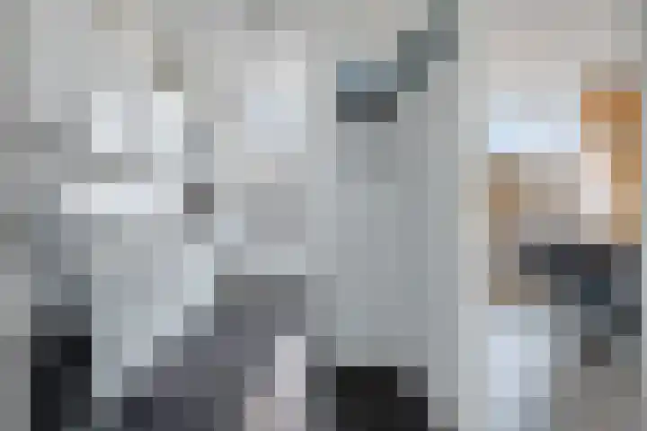 Schorpioen 43 Hoogezand thumbnail 10