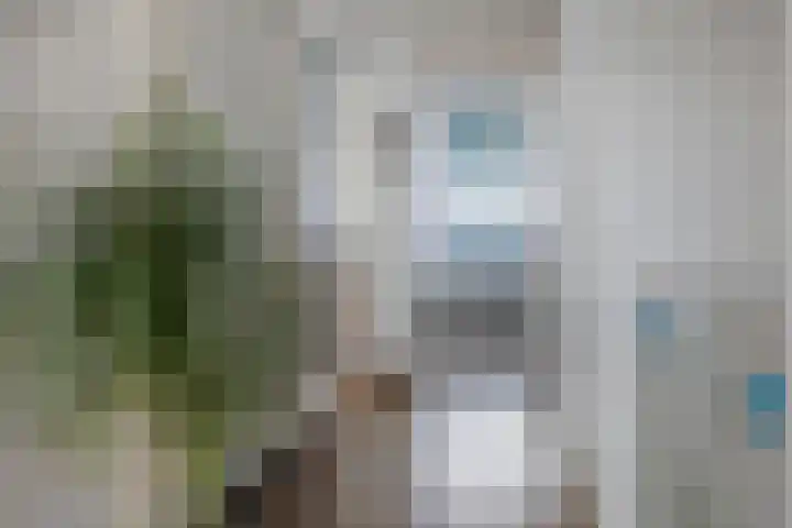 Schorpioen 43 Hoogezand thumbnail 18