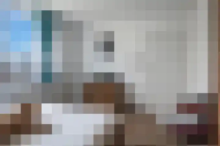 Schorpioen 43 Hoogezand thumbnail 21