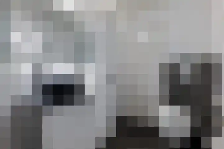 Schorpioen 43 Hoogezand thumbnail 24