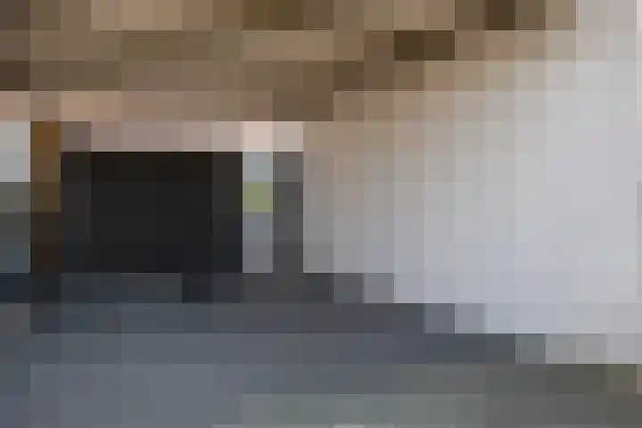 Schorpioen 43 Hoogezand thumbnail 29