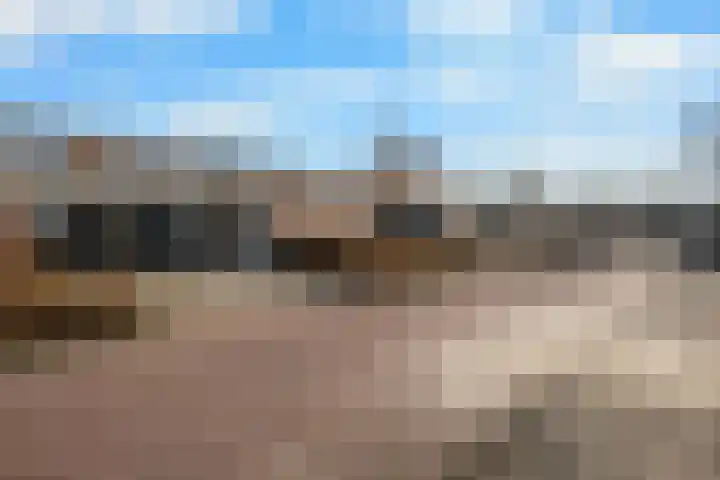 Schorpioen 43 Hoogezand thumbnail 30