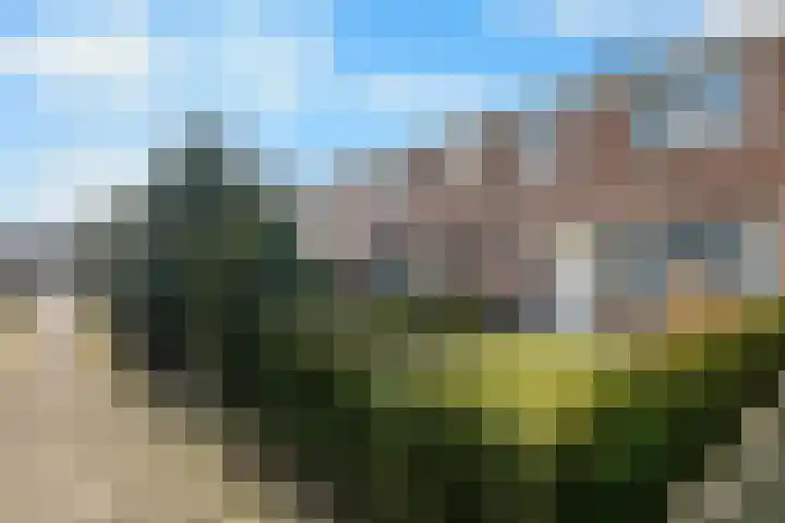 Schorpioen 43 Hoogezand thumbnail 31