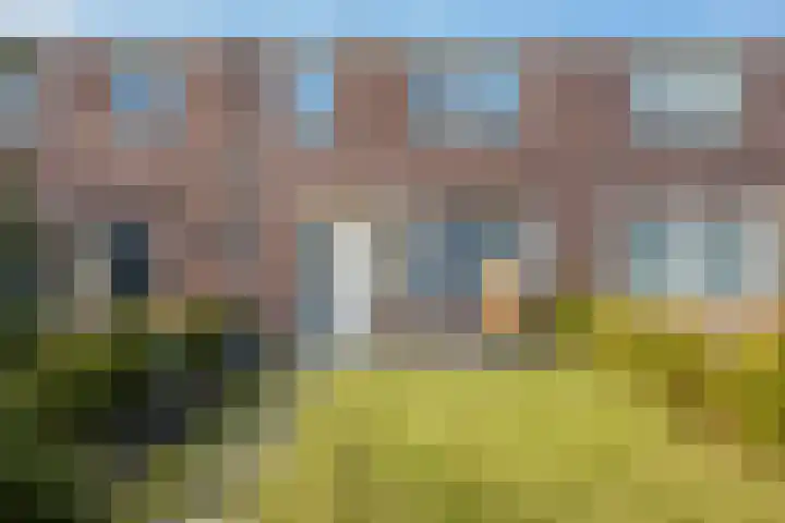 Schorpioen 43 Hoogezand thumbnail 32